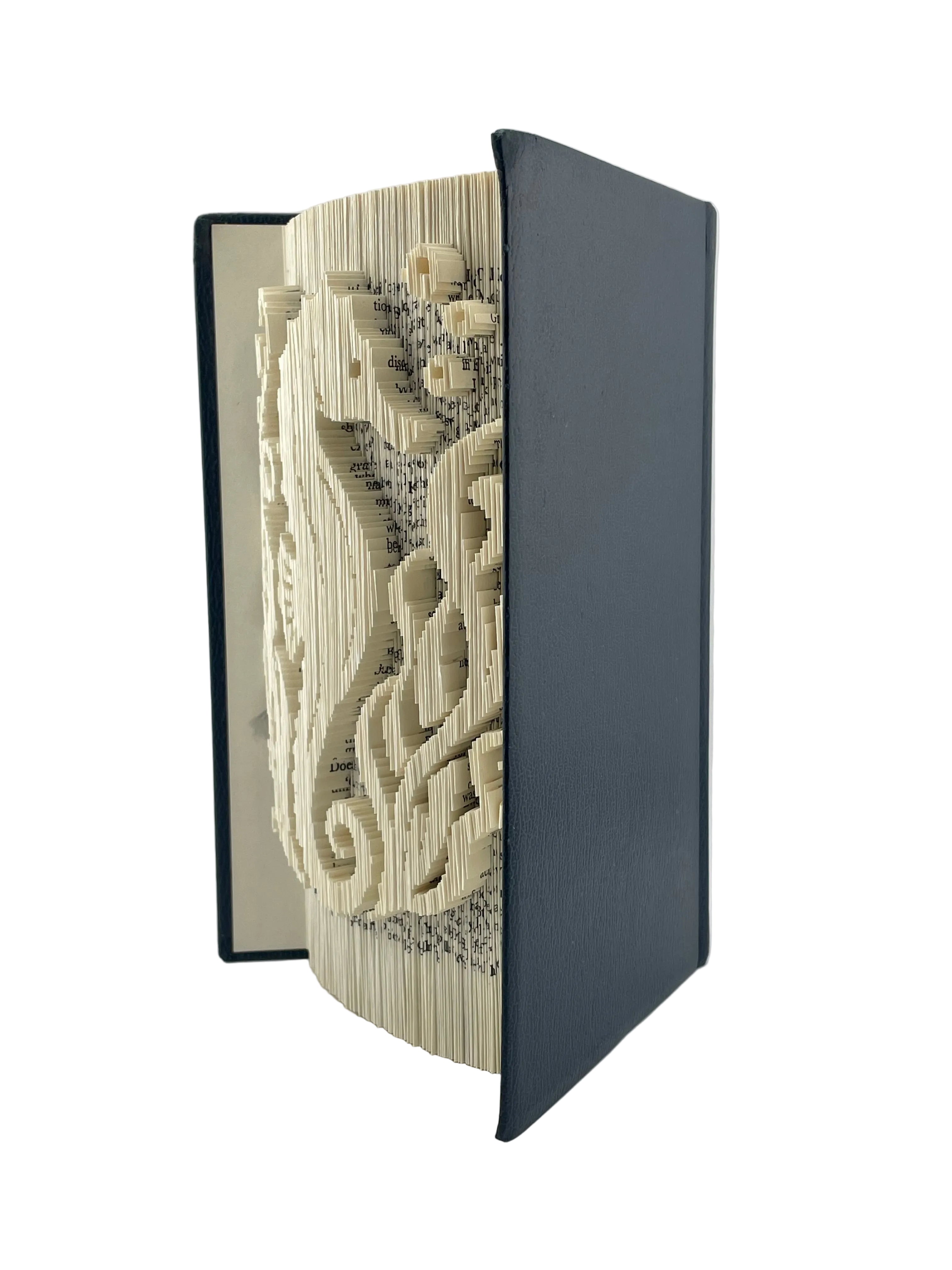 Bookfold - Seahorse