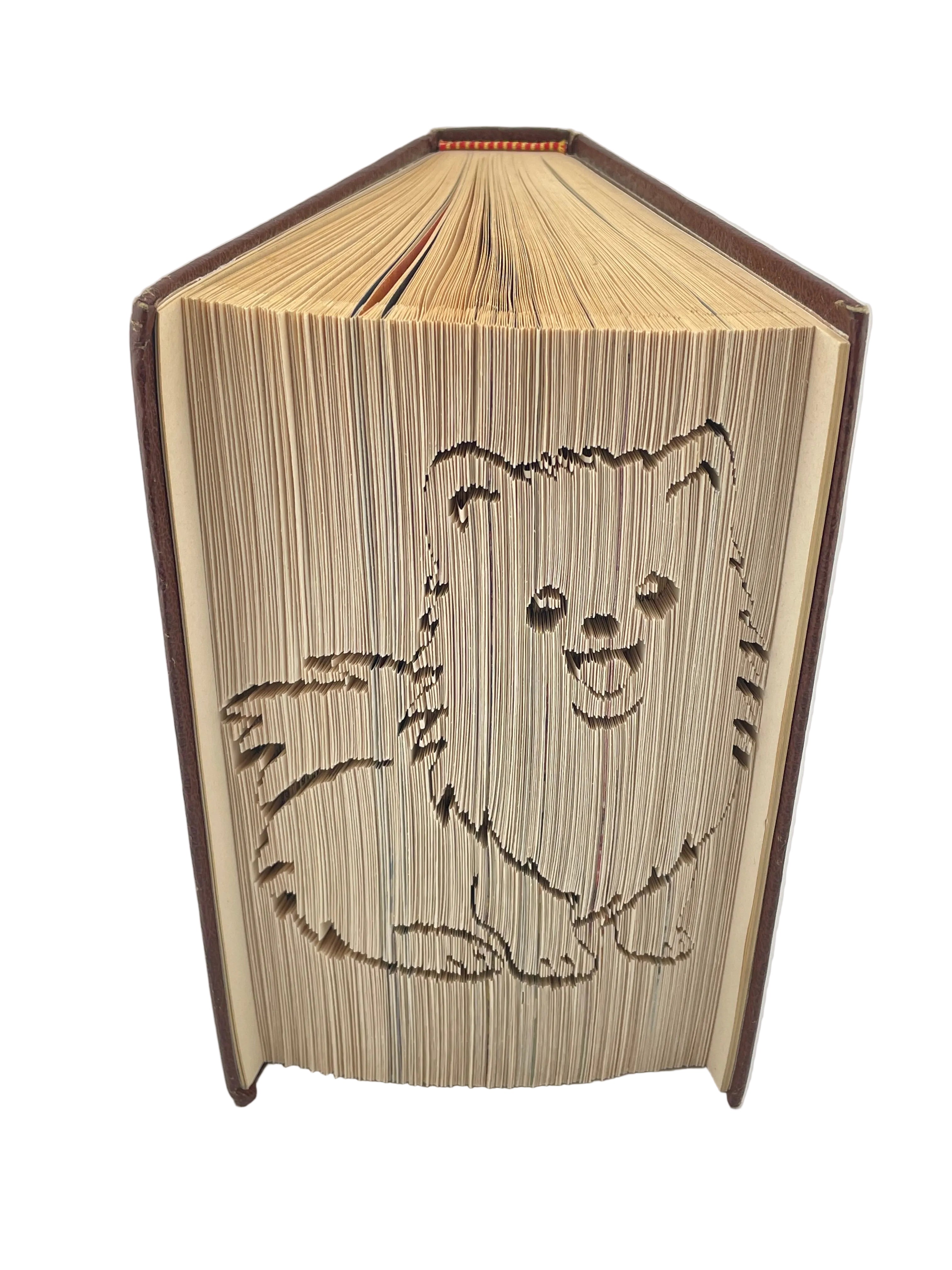 Bookfold - Puppy