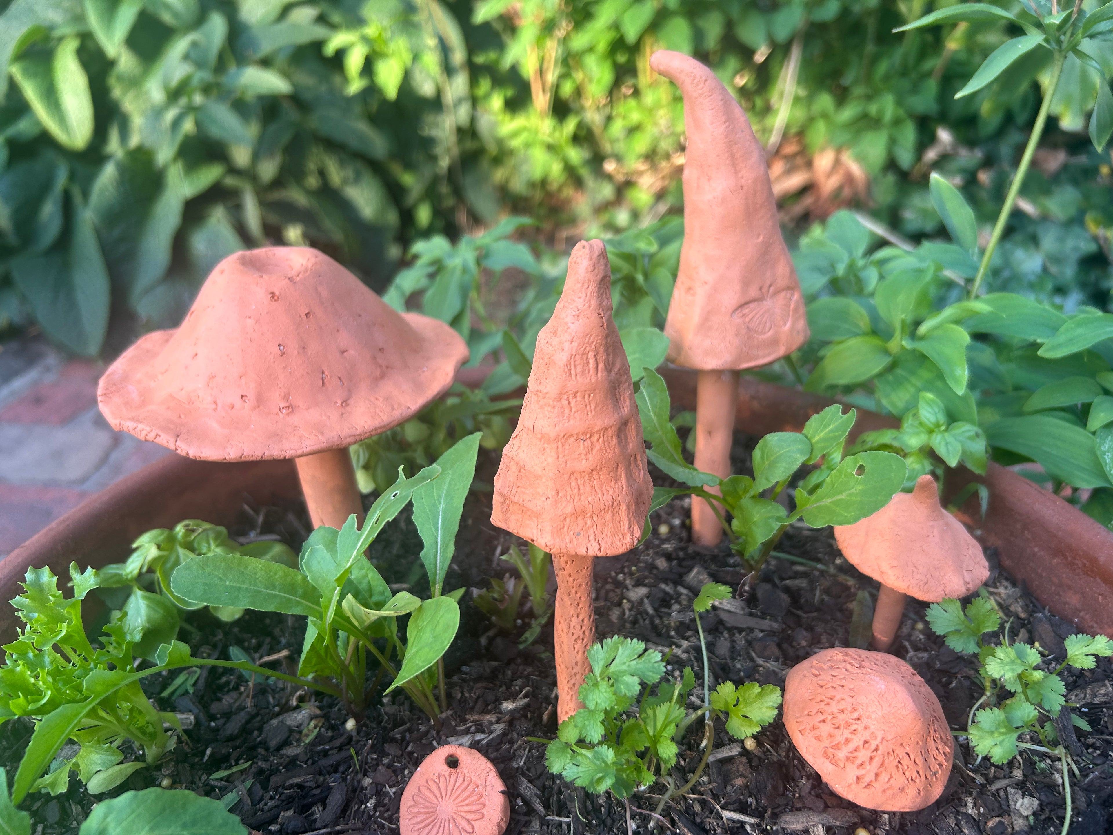Workshop - Terracotta Mushrooms