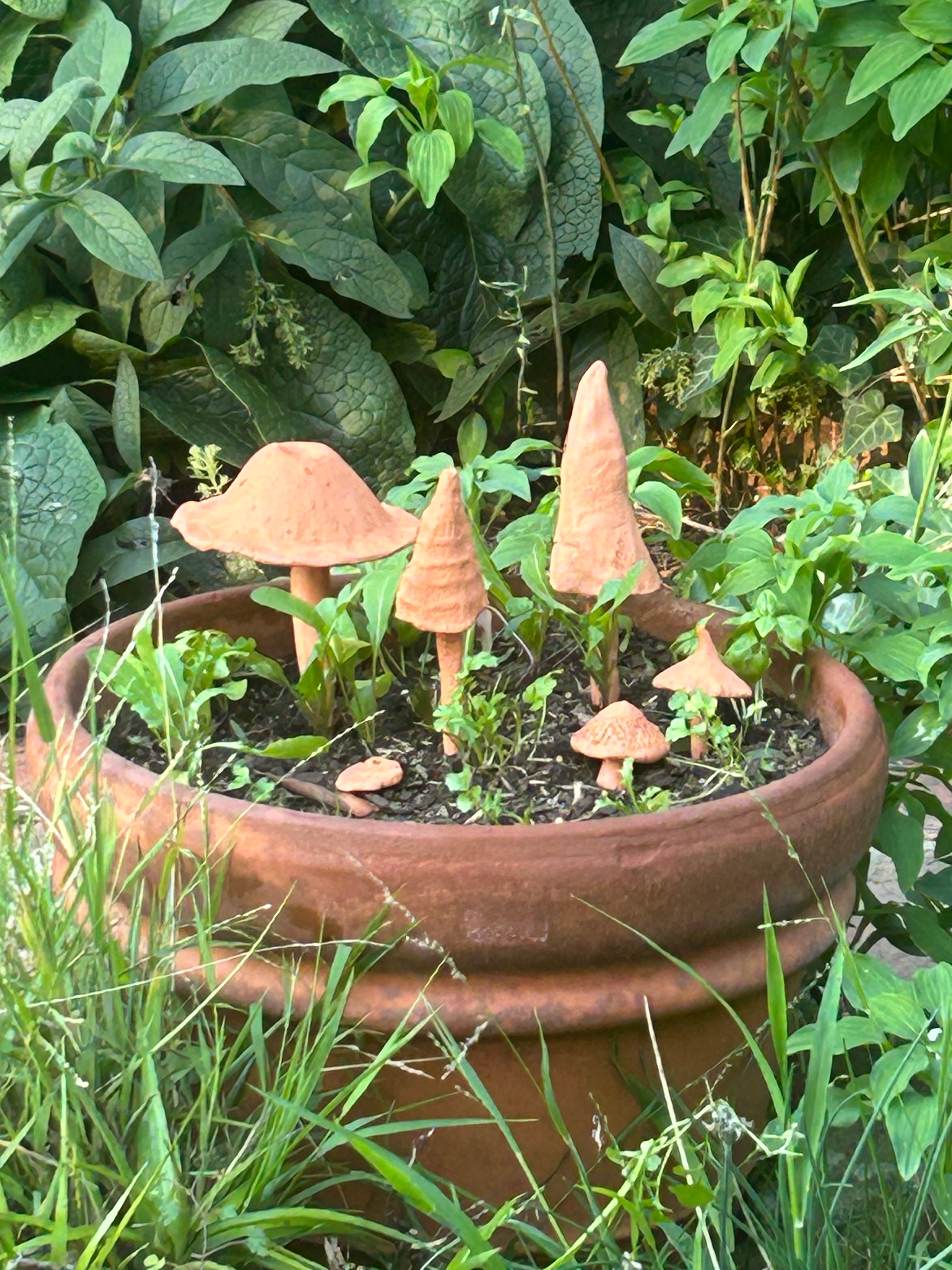 Workshop - Terracotta Mushrooms
