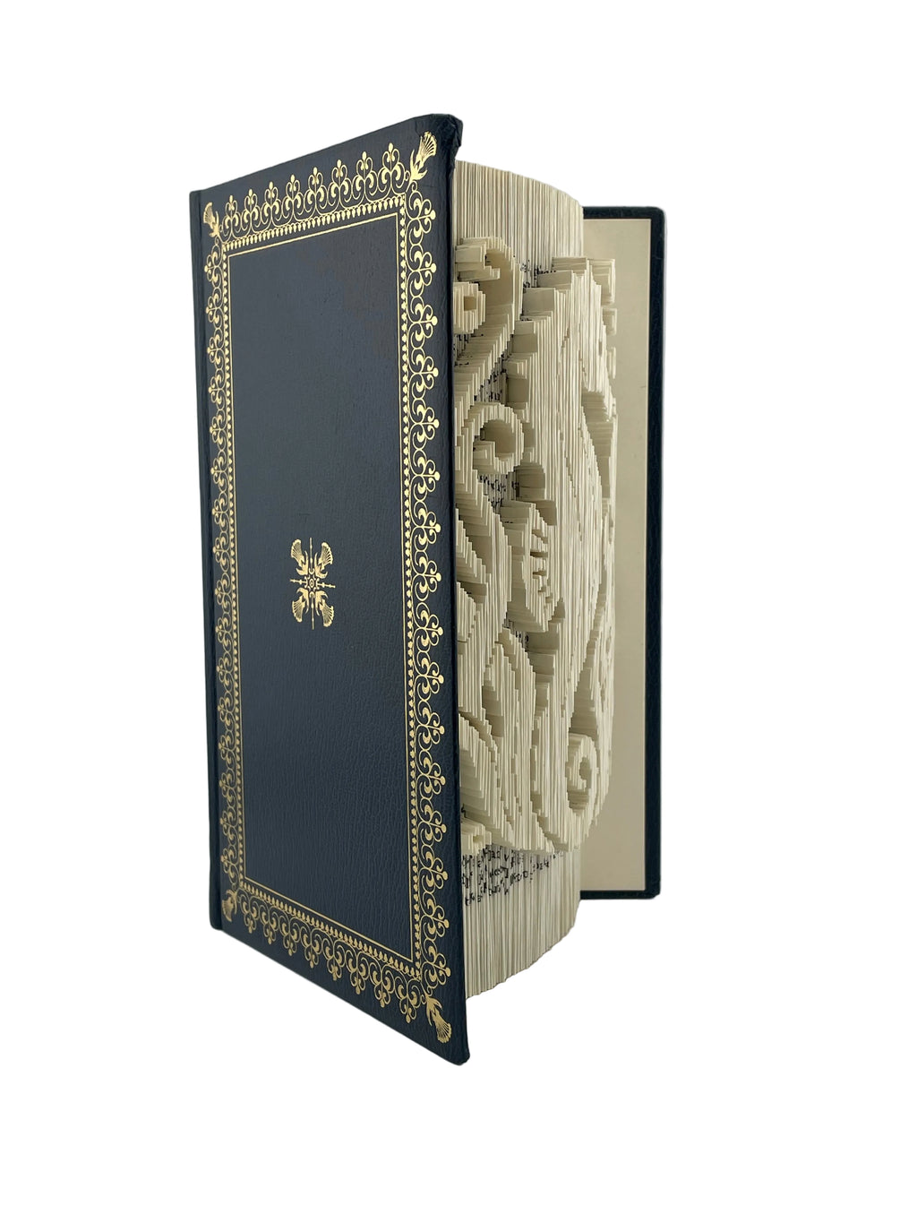 Bookfold - Seahorse