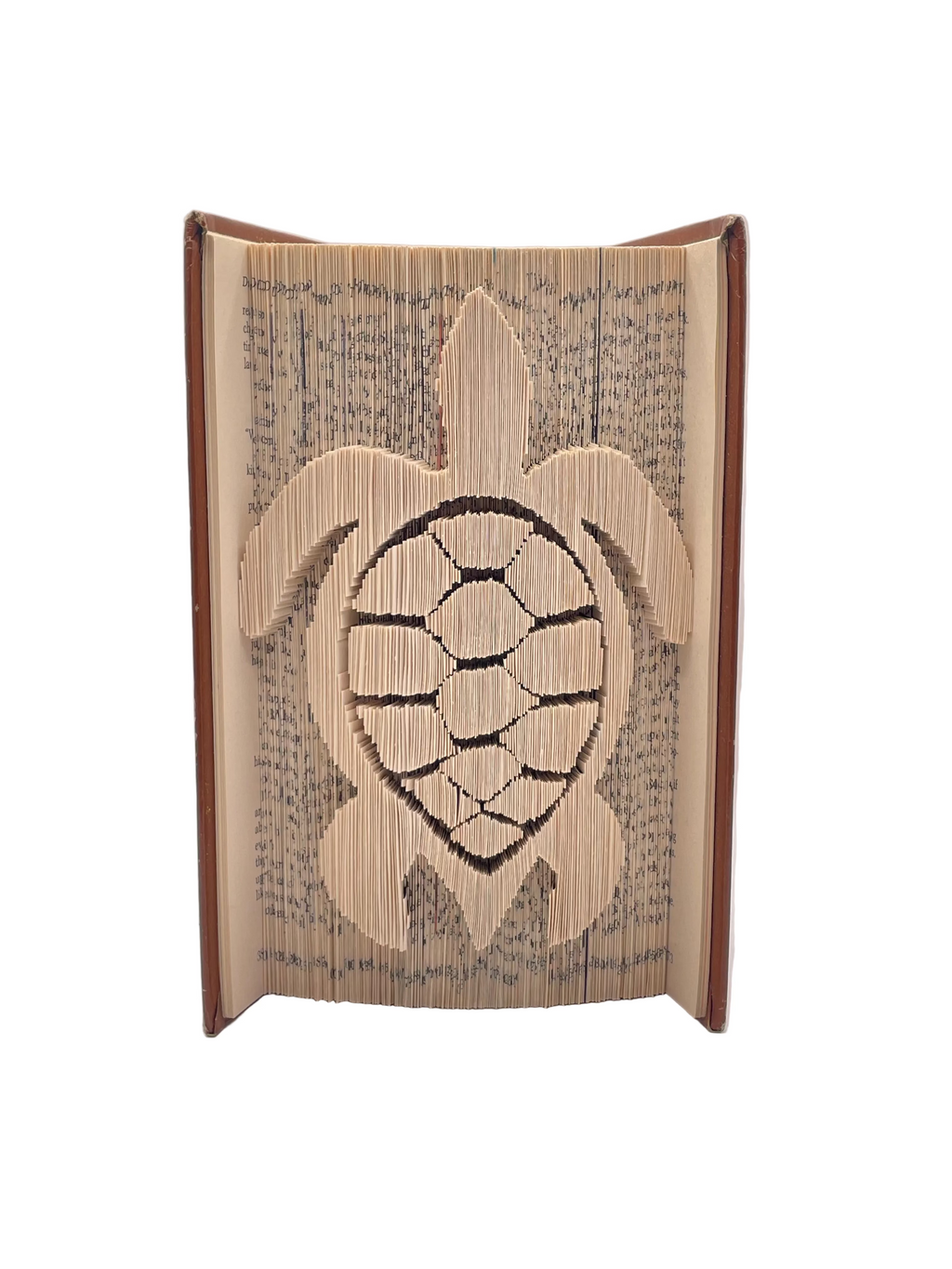 Bookfold - Turtle