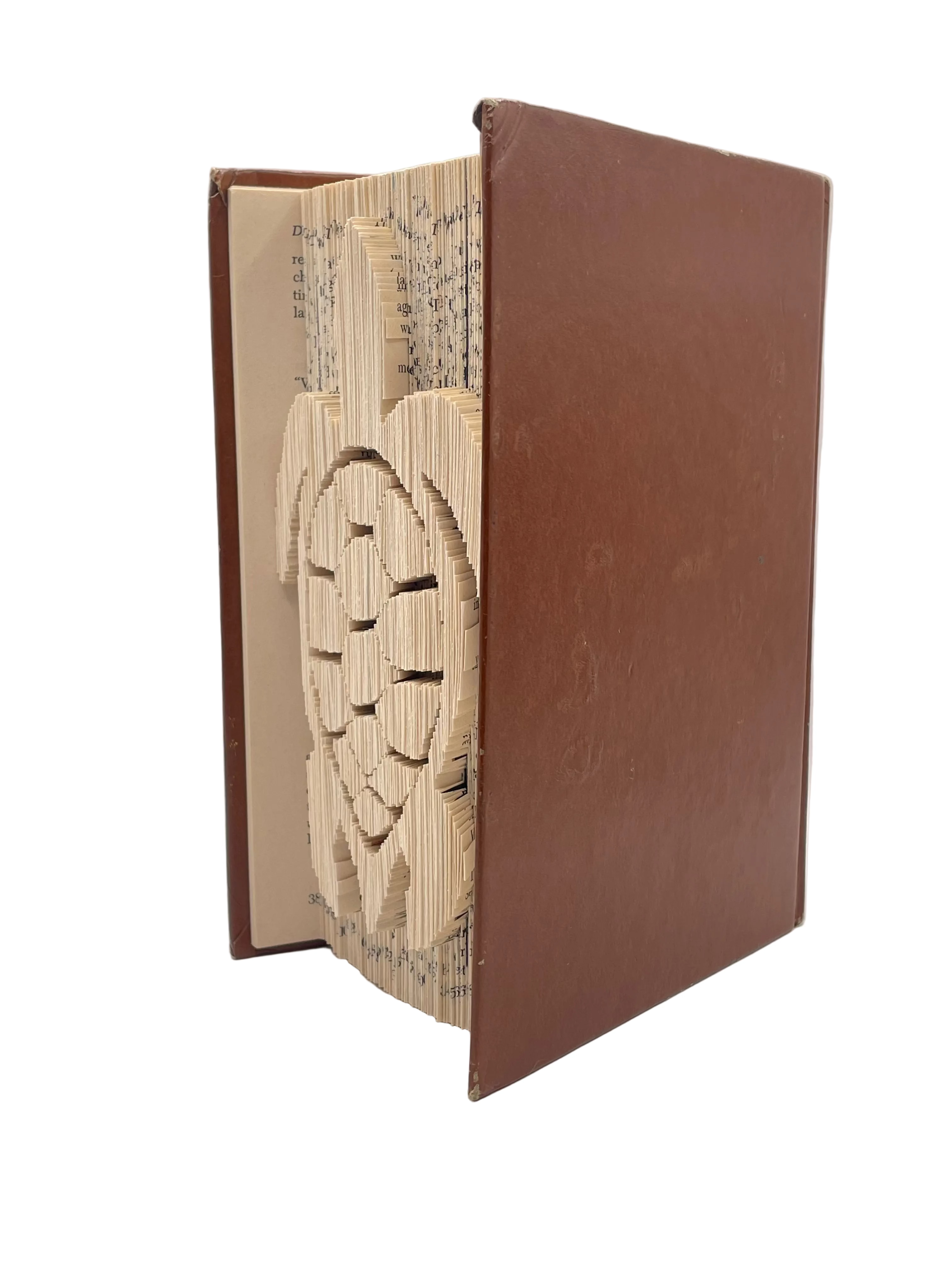 Bookfold - Turtle