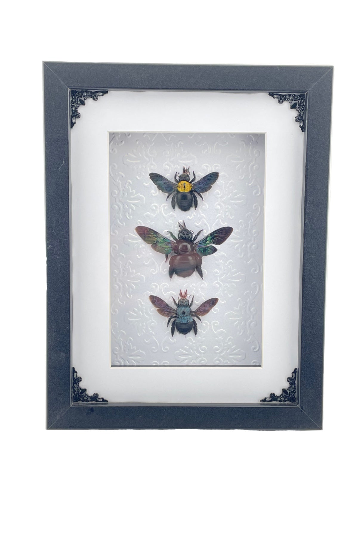 Bee Frame