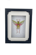 Locust Frame