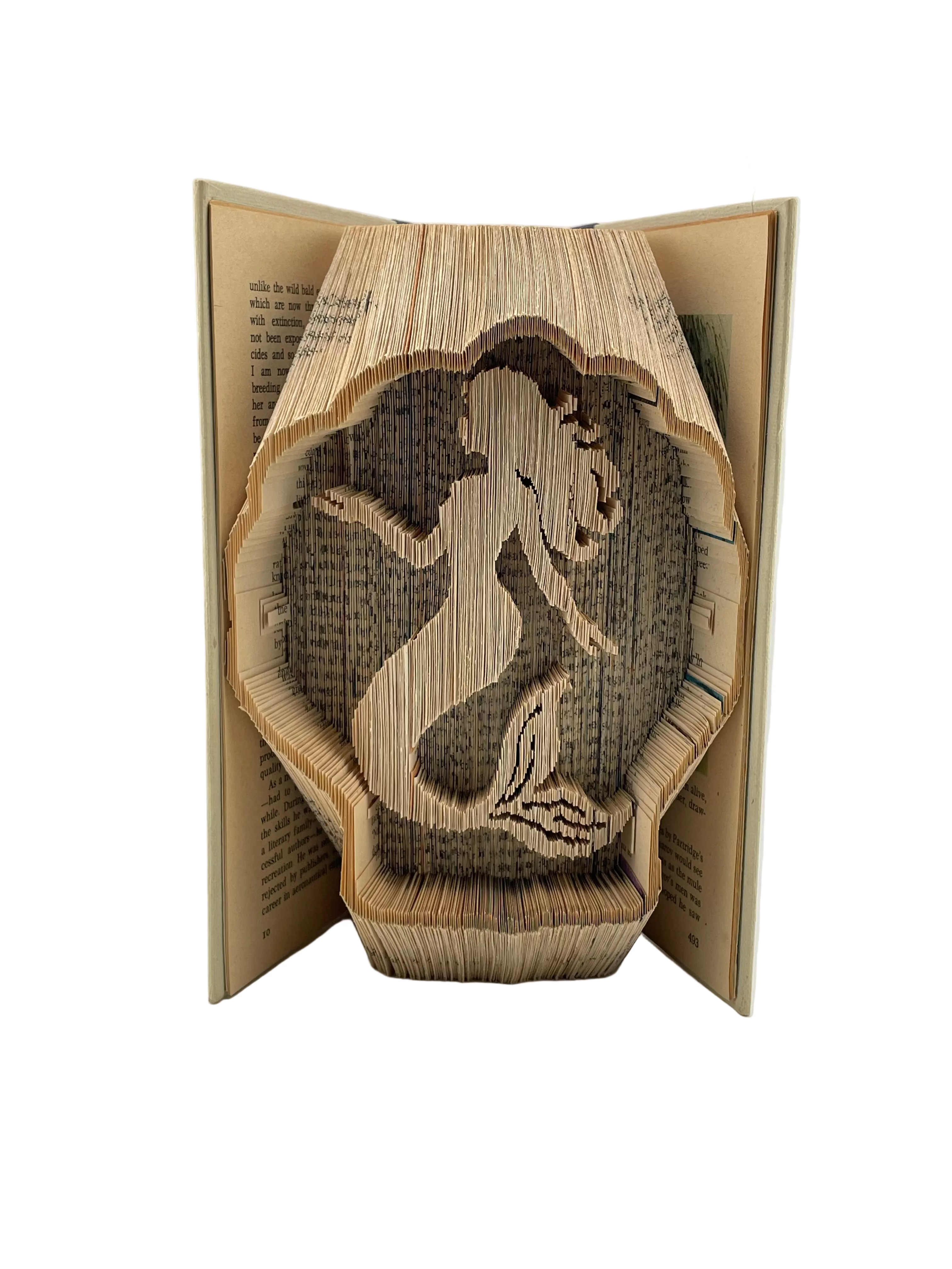 Bookfold - Mermaid