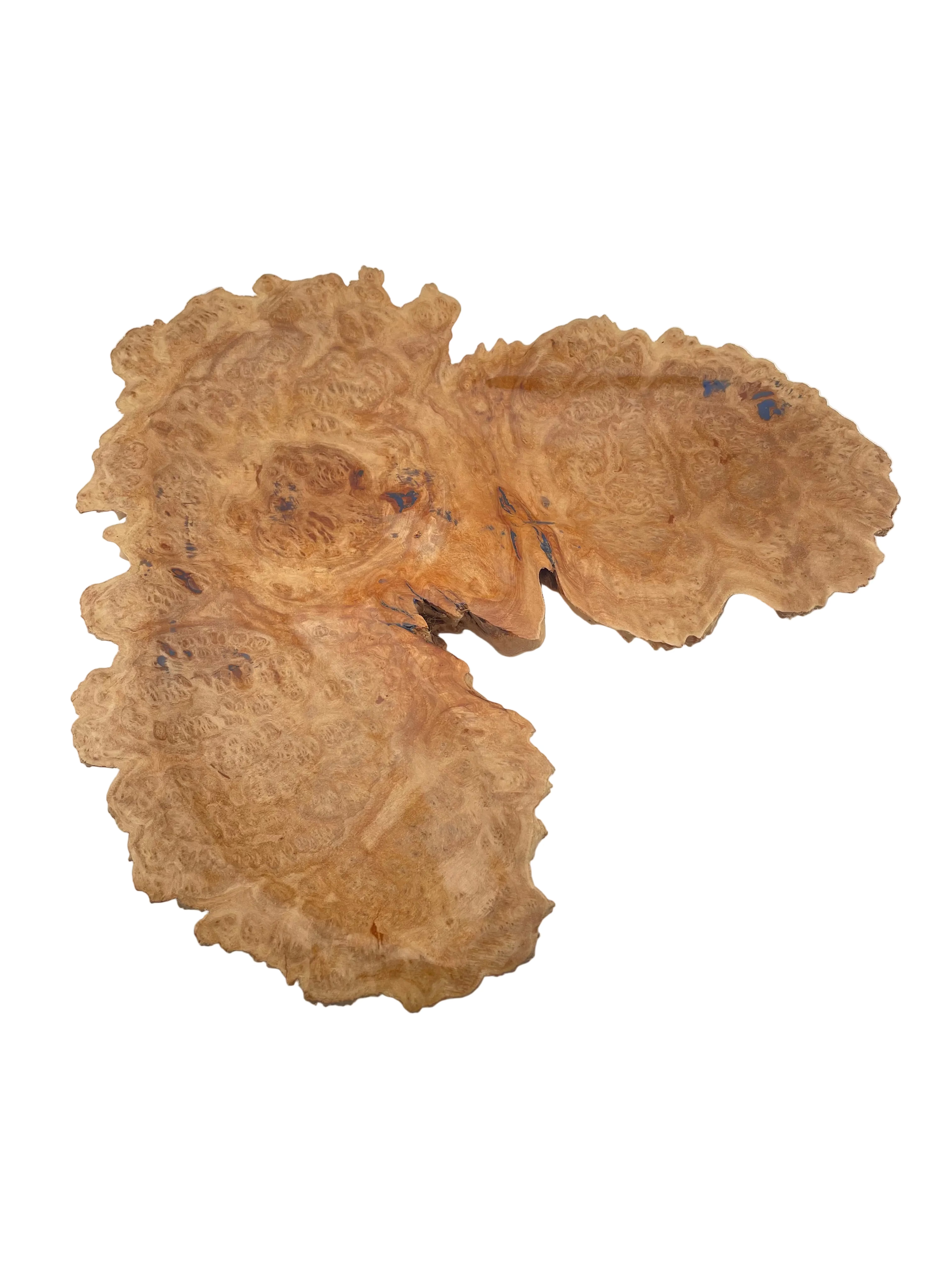 Brown Mallee Wooden Burl Dish