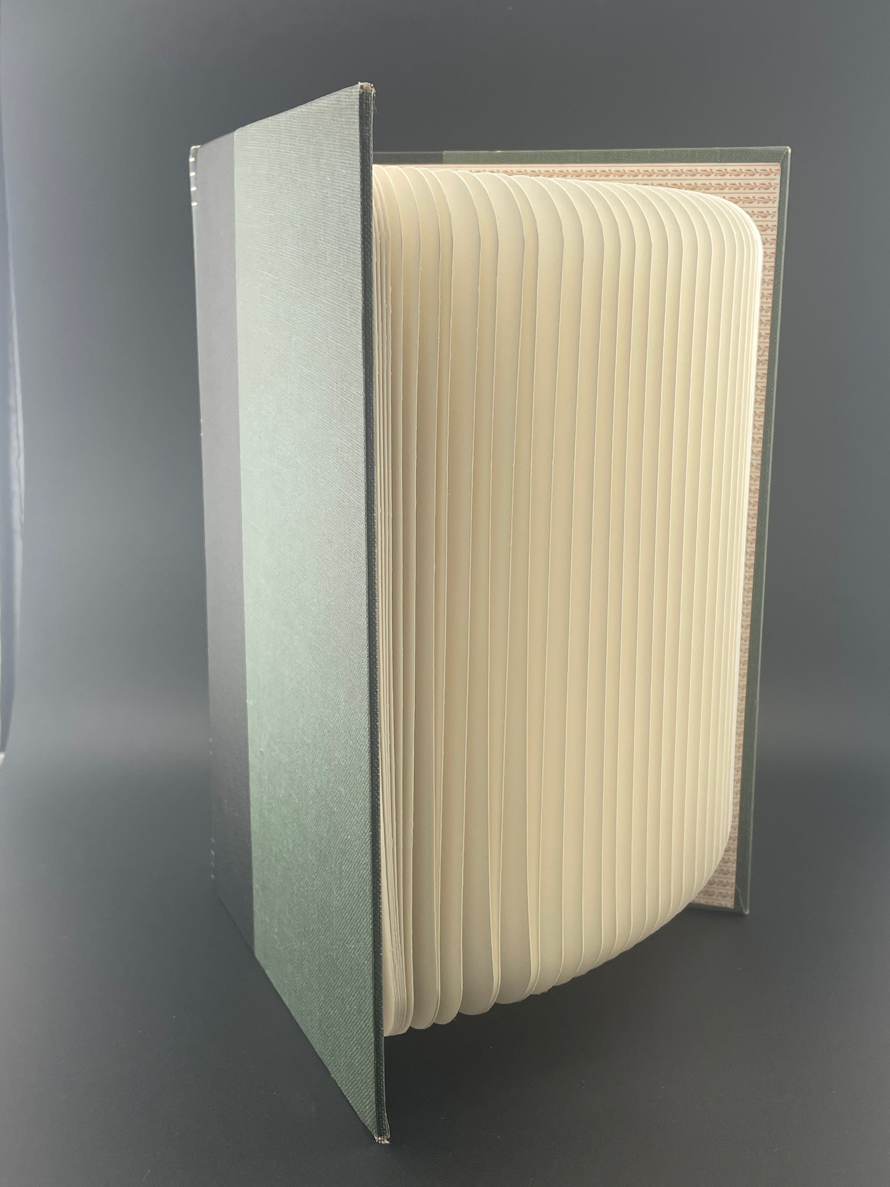 Book Lamp - Darwin