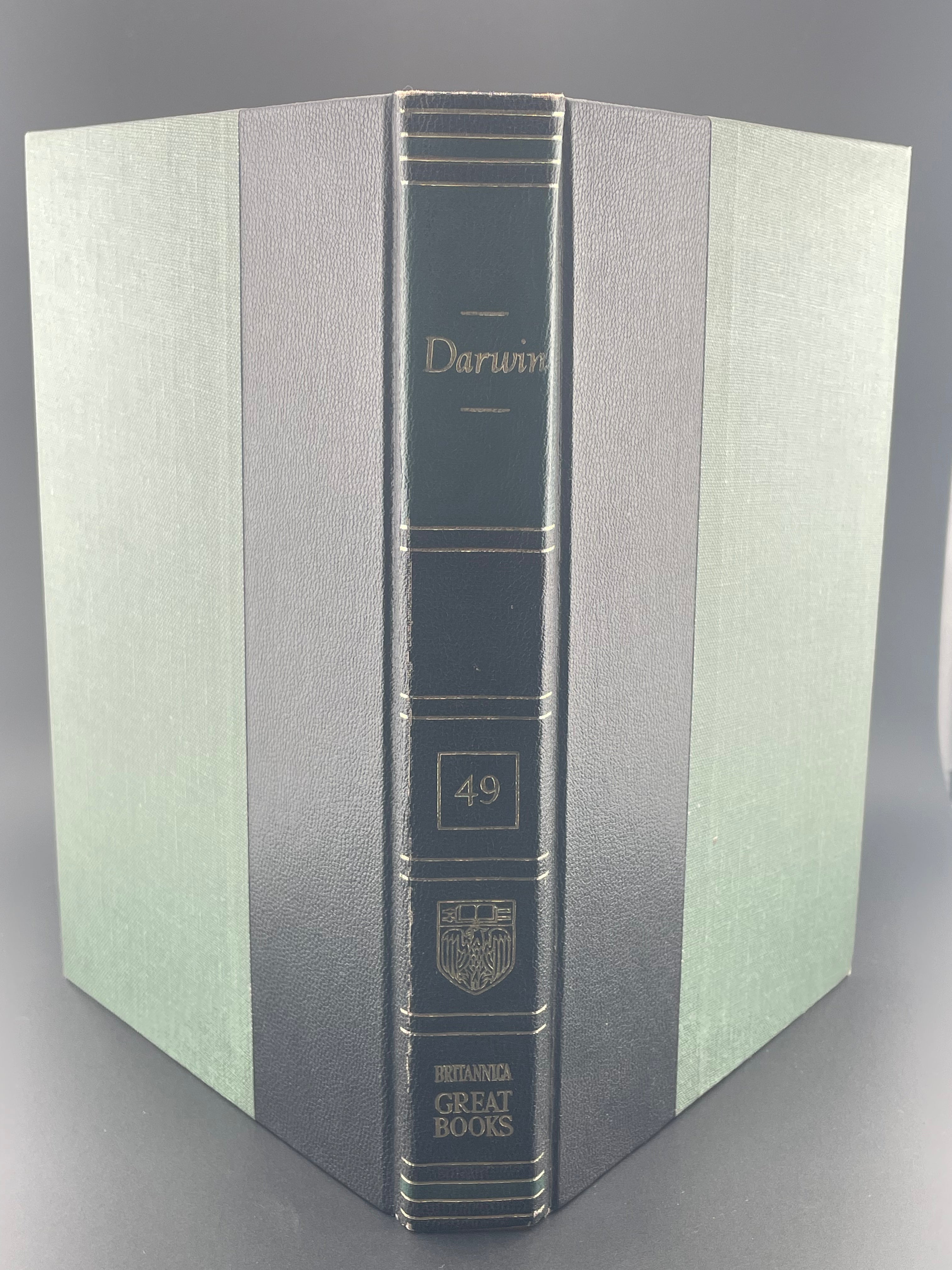 Book Lamp - Darwin