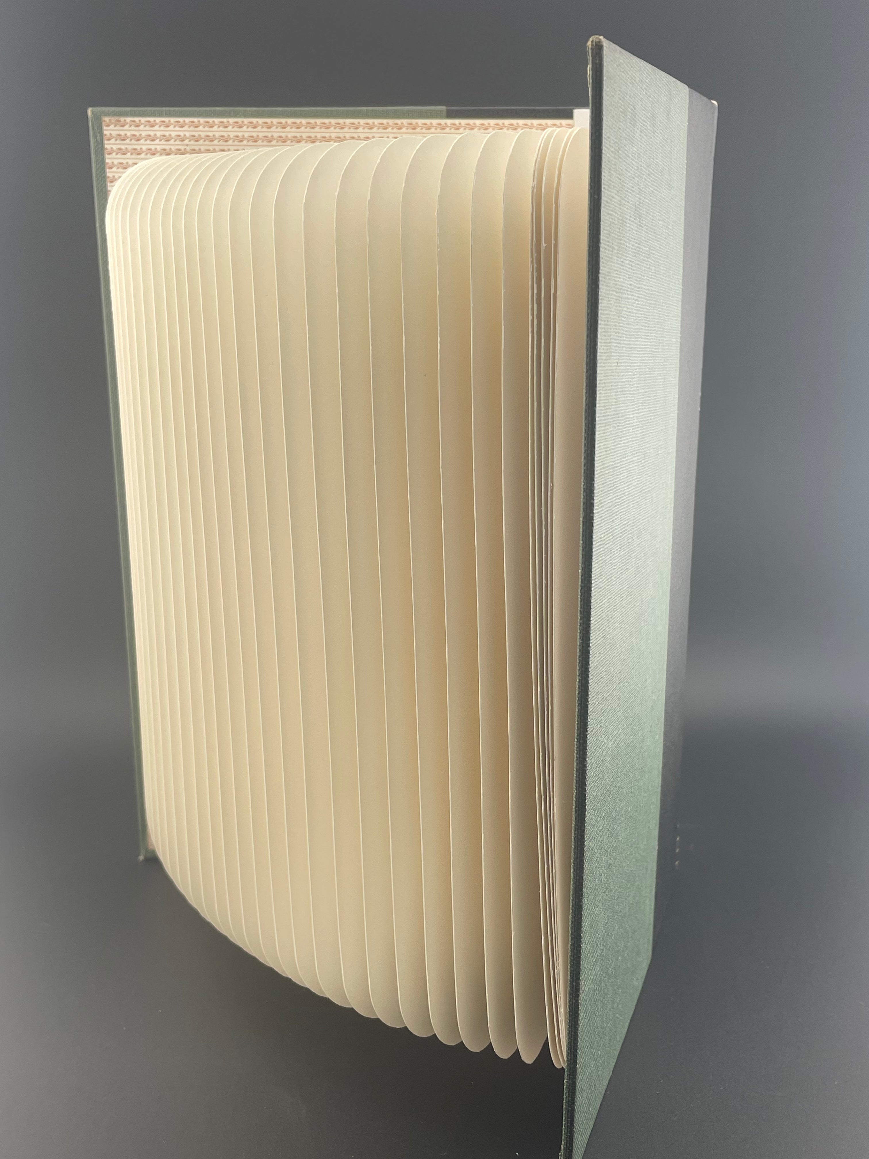 Book Lamp - Darwin