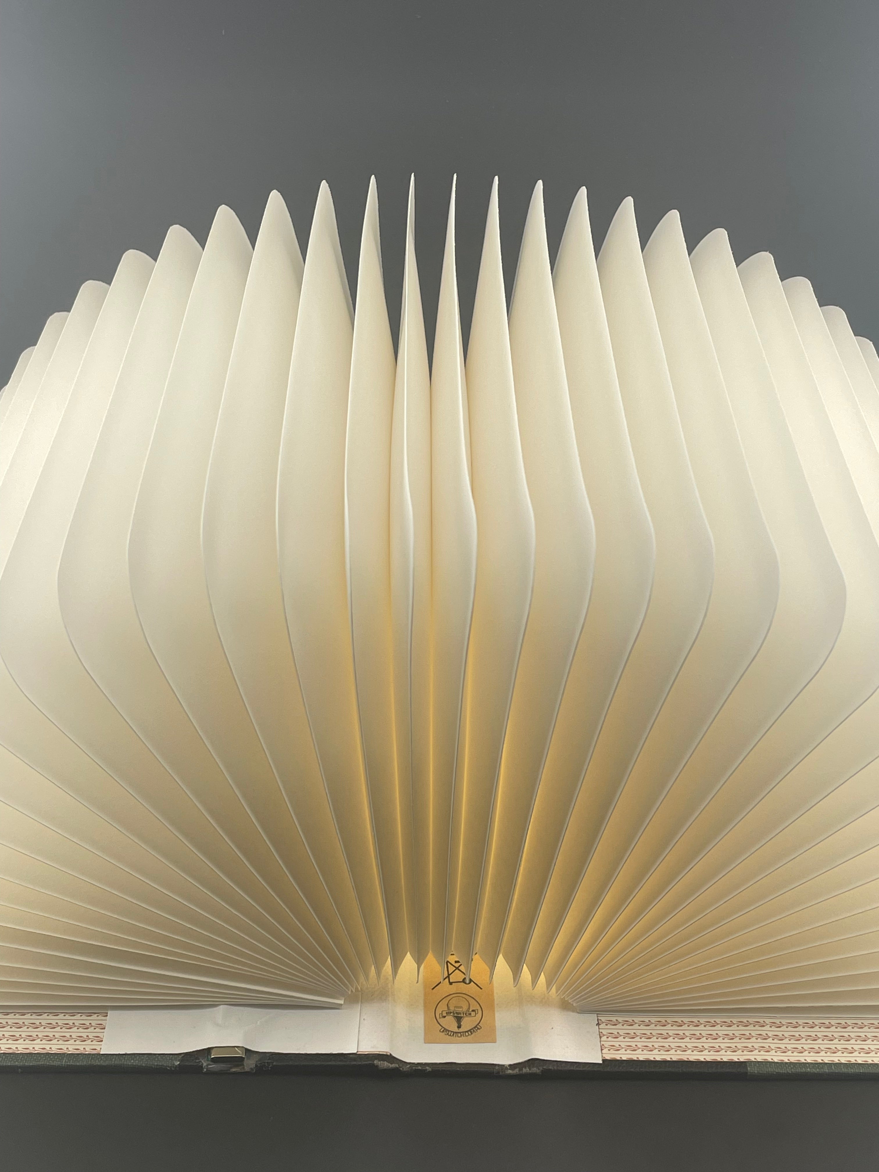Book Lamp - Darwin