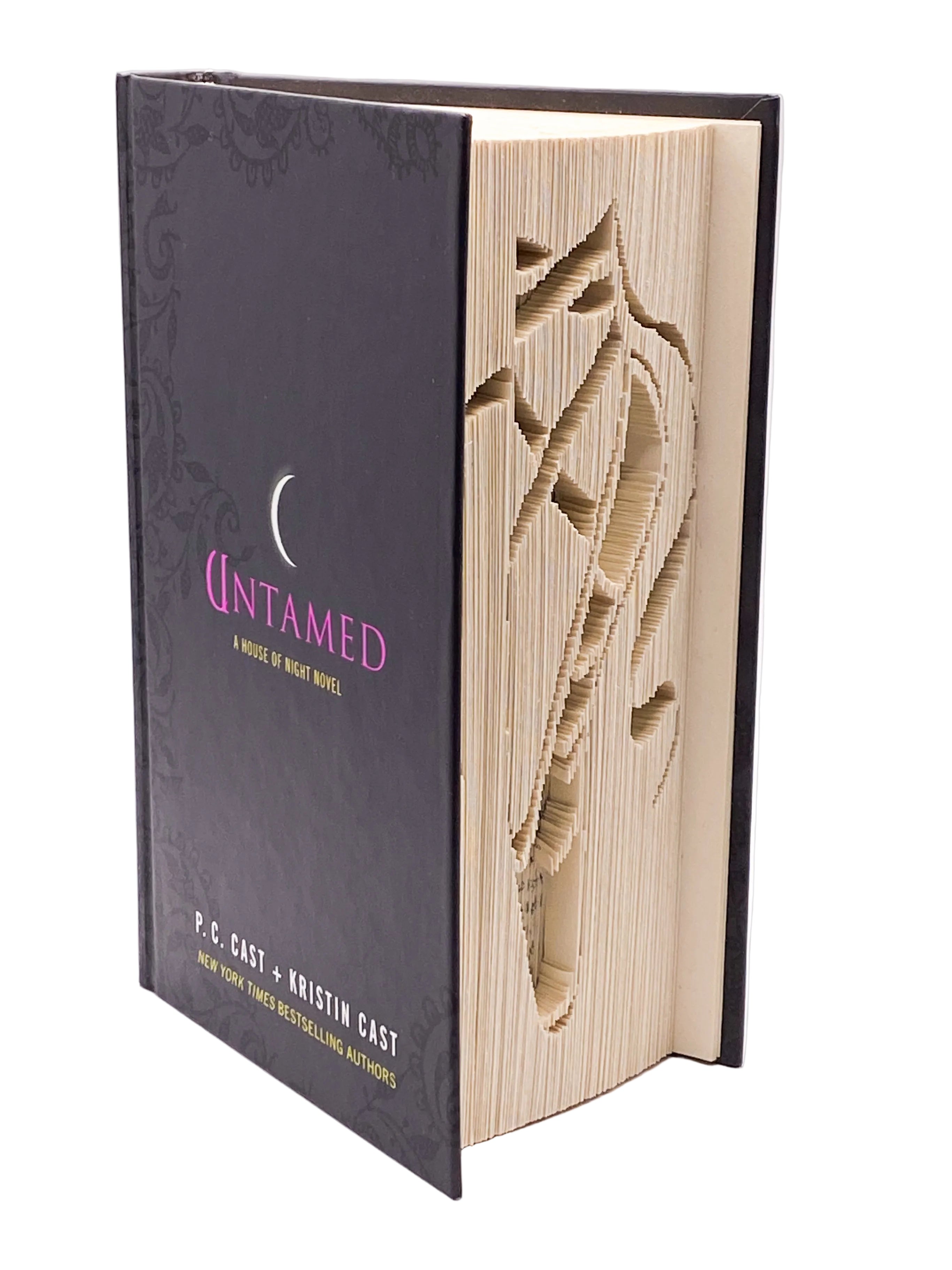 Bookfold - Ballet Shoe